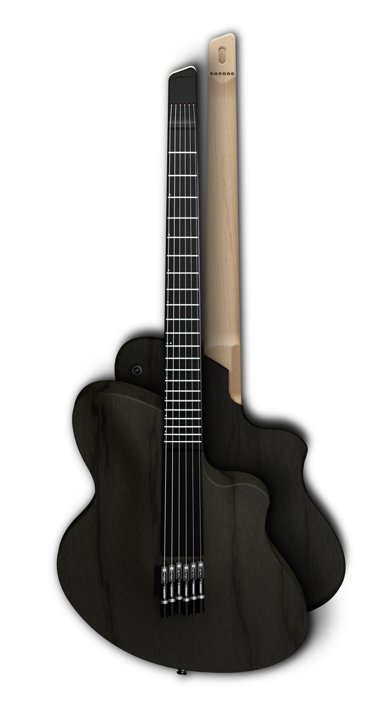 Denny's Guitars MK2 Series