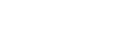 denny's guitars